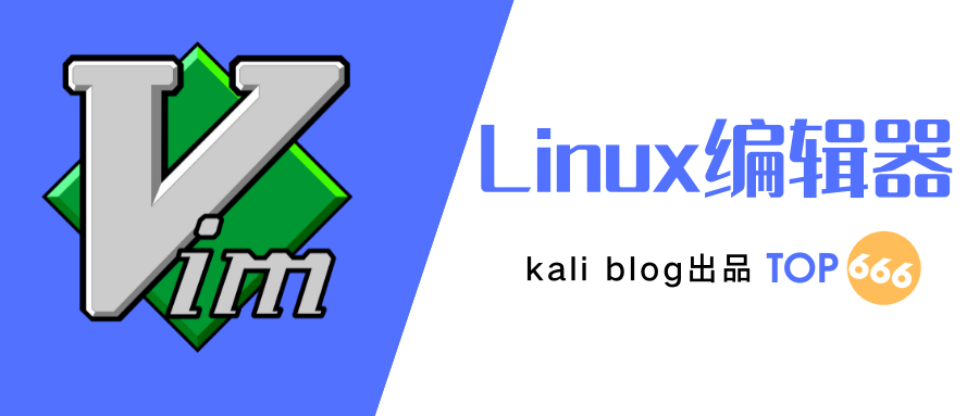 Kali中vim使用